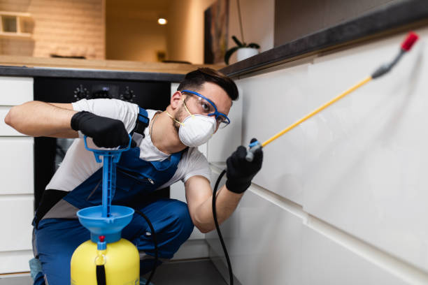 Best Flea Control Services  in Pinehurst, MA