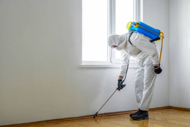 Best Cockroach Control Services  in Pinehurst, MA